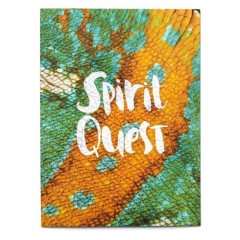 COLIN READ'S "Spirit Quest" DVD (With Bonus Footage)
